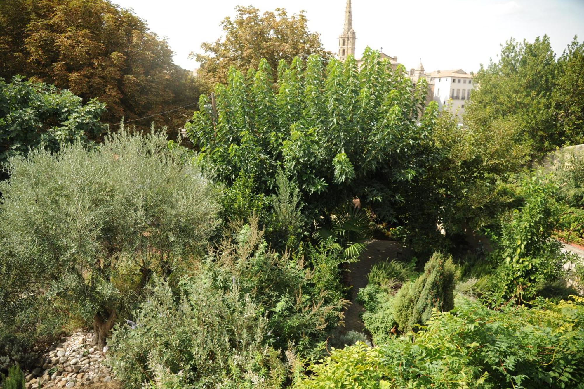 Vila Limoux Riverside Gardens Exteriér fotografie